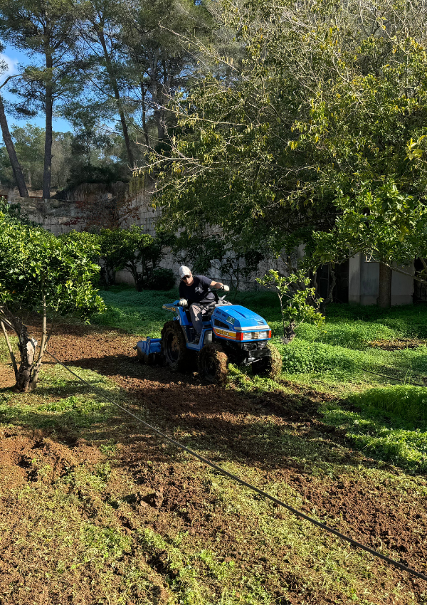 agroganaderadelevante-tradicion-mallorquina-ecologica-sostenible