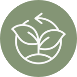 agricultura-reforestación-terrenos-agroganaderadelevante
